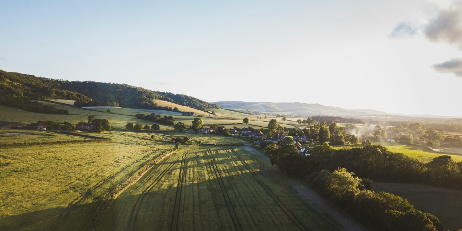 Sussex Landscape