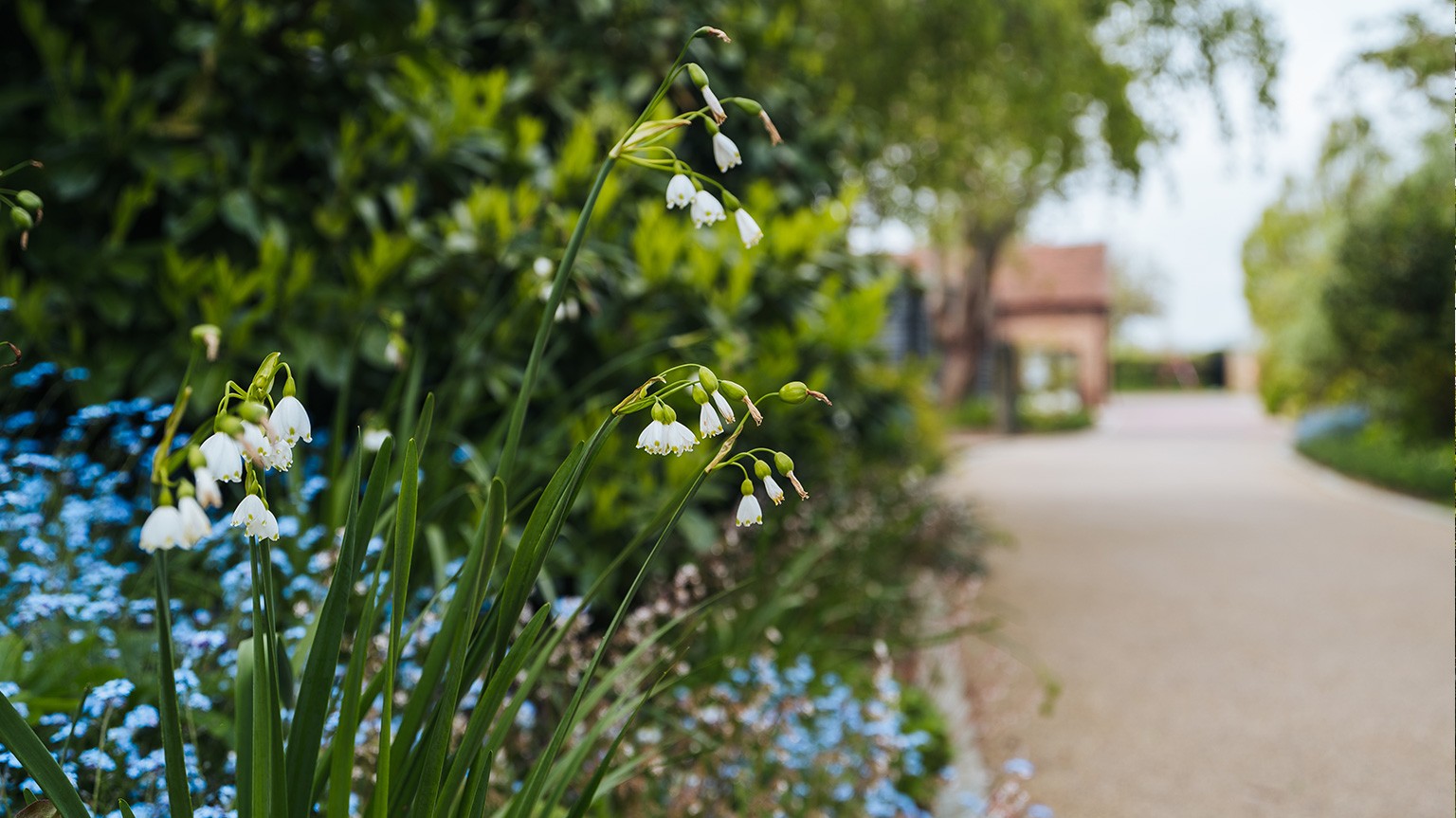 Bee Sustainable: Eco-friendly Celebrations at Alfriston Gardens